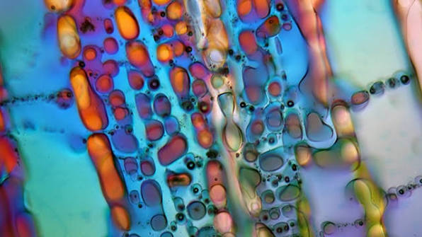 Inorganic Chemicals